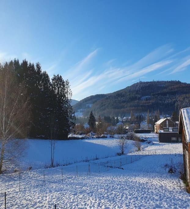 Chalet Les Boudieres 6 Pers Pres Gerardmer Cosy Billard Fraize Extérieur photo