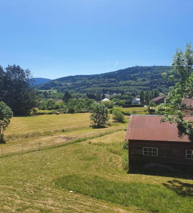 Chalet Les Boudieres 6 Pers Pres Gerardmer Cosy Billard Fraize Extérieur photo